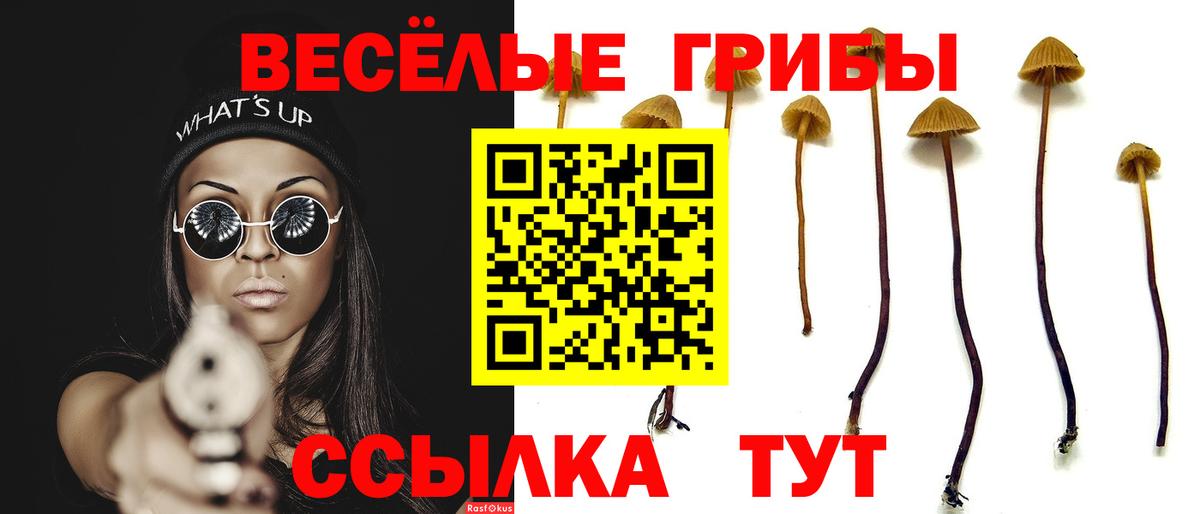 Псилоцибиновые грибы GOLDEN TEACHER Белореченск